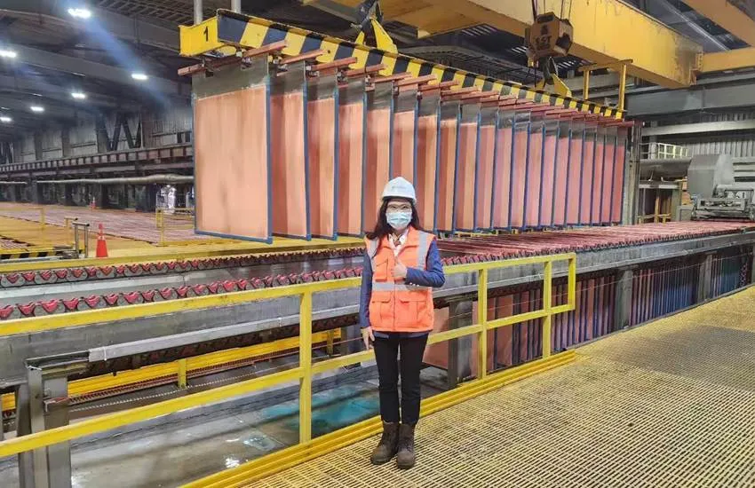 Titanium Electrode Plate